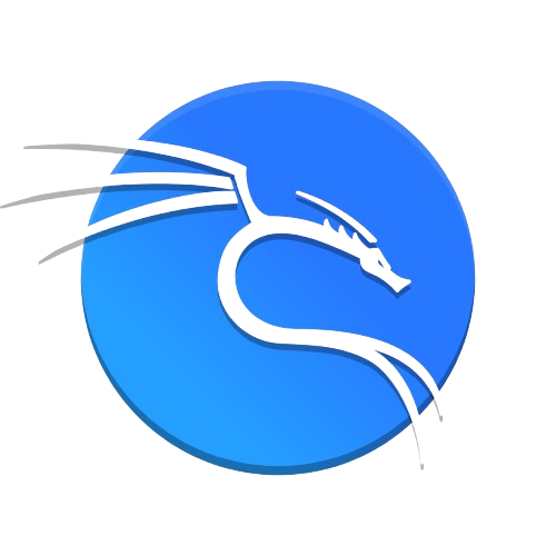 Kali Linux Networking Tools